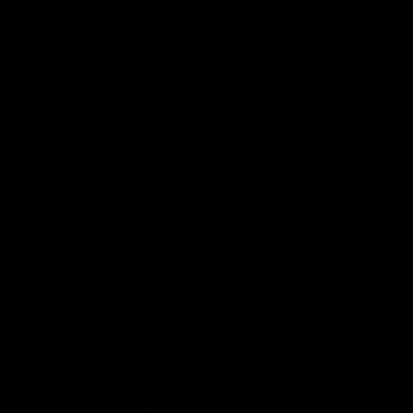 Meet your Posher, Hank - Picture 1 of 1